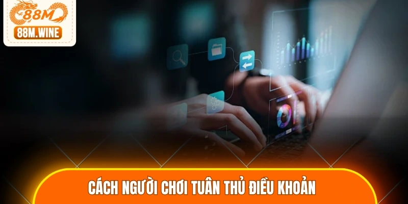 Cách người chơi tuân thủ điều khoản