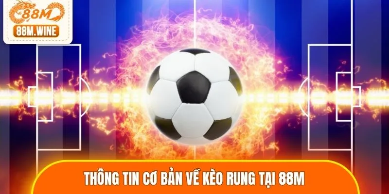Thông tin cơ bản về kèo rung tại 88M